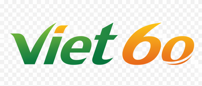 viet 6o